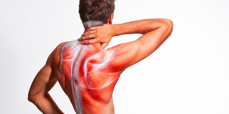 Will Xanax Help Back Pain