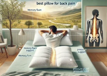 Best Pillow for Back Pain