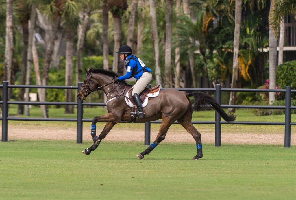 Benefits of Mastering the Quick Gallop